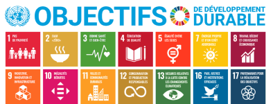 1200px sustainable development goals chart.svg 1160x670 1